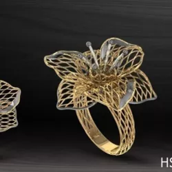Nokta Ring