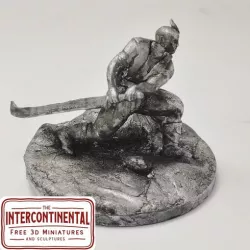 Nordic Warrior