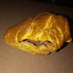 Panoplosarius "completely armored lizard" from CT