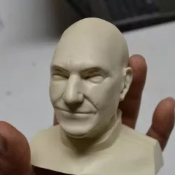Patrick Stewart Bust