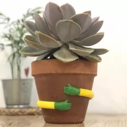 Plant hugger