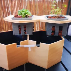 Pot Aromatic Herbs Hydroponics