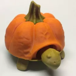 Pumkin top for Squishy Turtle