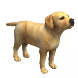 Puppy Dog