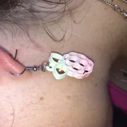Raspberry Pi earrings