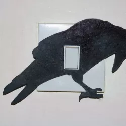 Raven light switch cover