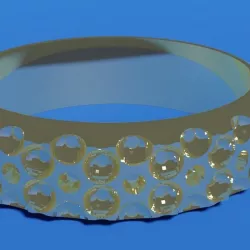 Ring001