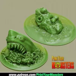 SHARK and SKULL ROCK