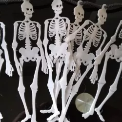 Skeleton Buntings