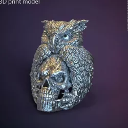SKull and owl vol1 ring