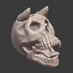 Skull skull
