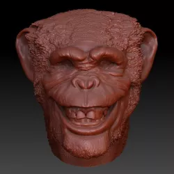 Smiling Chimpance Head (Monkey Head) - Smiling Chimpance Head