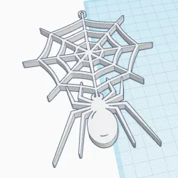 SPIDER