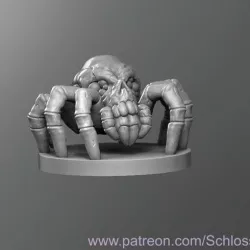 Spider skull