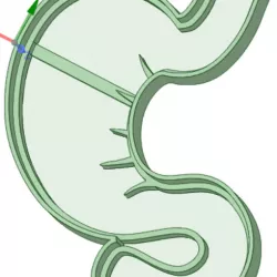 Stomach cookie cutter