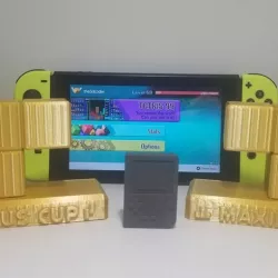 Tetris Trophies (all 7 pieces) - Maximus Cup Tetris 99 - Nintendo Switch