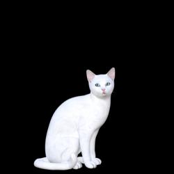 ▷ cat bit glow stick 3d models 【 STLFinder 】
