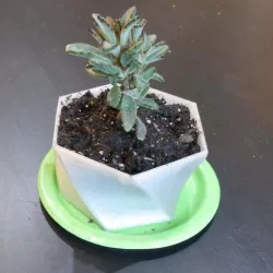 Twisty customizable planter