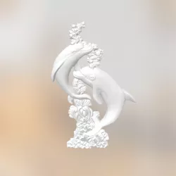two dolphins