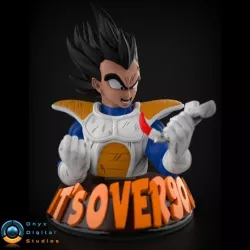 Vegeta Over 9000