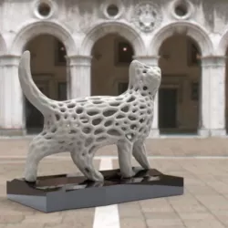 "Voronoi" cat