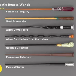 Wand Set from Fantastic Beasts