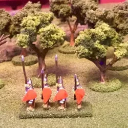 Wargaming Trees for Flocking - 15mm HotT
