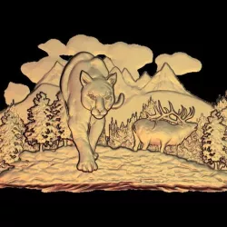wild puma with deer mountain lion