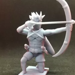 Wood Elf Ranger