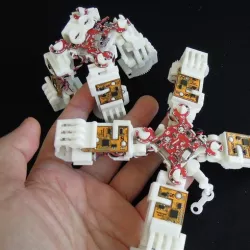 3D printed Spider Robot "MOMONGA II"