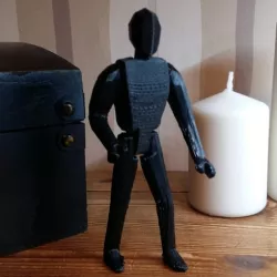 Action figure