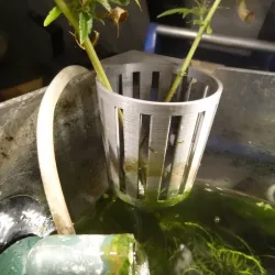 Aquarium corner planter