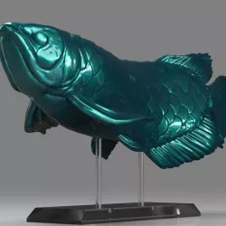 Arowana