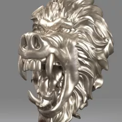Baboon Head