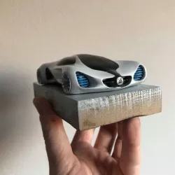 Biome car