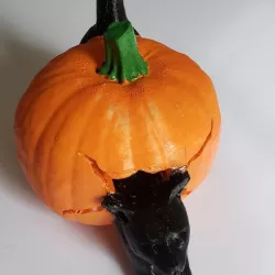 Black Cat Inside Pumpkin