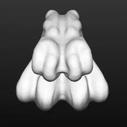 Bone packer