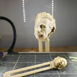 Bookmark page einstein