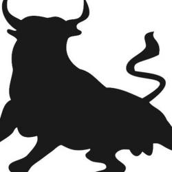 taurus ragin bull 3d models 【 STLFinder