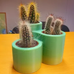 Cactus Pot x3