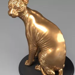 Cat Sphynx