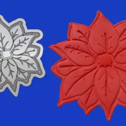 Christmas Flower, Federal Star