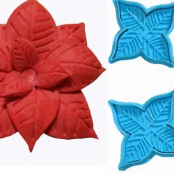 Christmas Flower, Federal Star