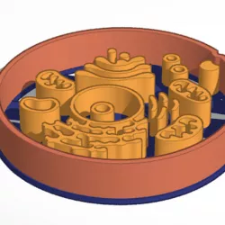 Cookie Cutter Human Cell