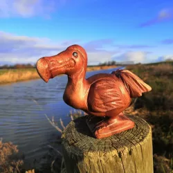 Dodo (Danny the Dodo)