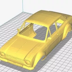 Escort MK1 Printable Body Car