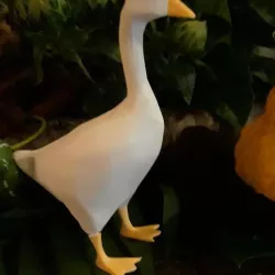 Goose