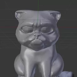 Grumpy cat