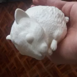 Hamster