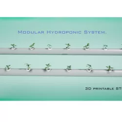 Hydroponic NFT